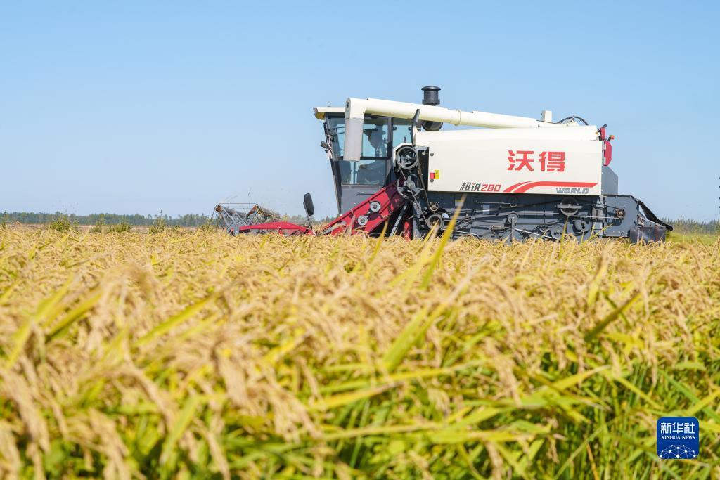 安卓版金鲨银鲨